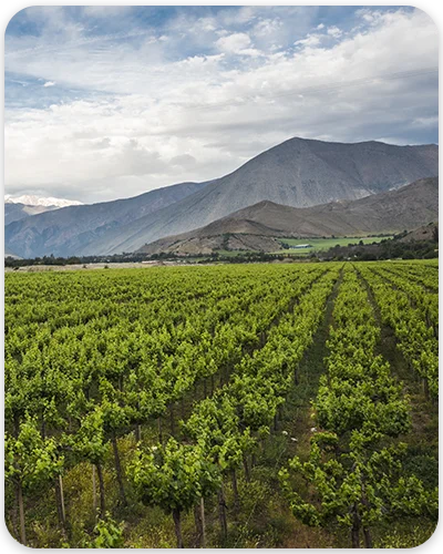 Valle del elqui